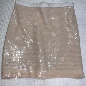 Greylin sequin skirt